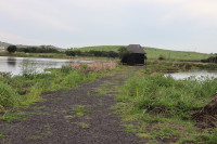 Sappi Stanger Bird Hide