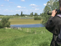 Kerswerf - Beusichemse Waard