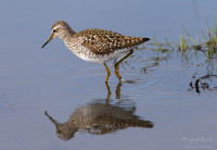 Naturschutzgebiet Welter Bach