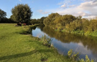 Grantchester Meadows