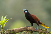 Parque National Tortuguero
