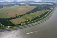 Lauwersmeer - Rietzuivering