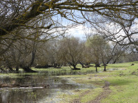 Pump Station Warniki