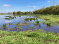 Grote en Kleine Vilt