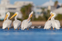 Astotin Lake - Elk Island National Park