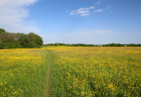 Landschaftspark Hachinger Tal