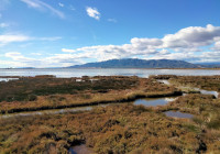 Delta del Ebro - Laguna de la Encanyissada