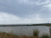 Nestos National Park - Porto Lagos and Lake Vistonida