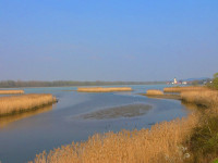 Vogelfreistätte Mittlere Isarstauseen