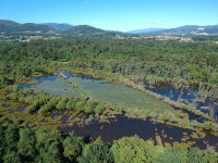 Lagoas de Bertiandos e São Pedro d'Arcos