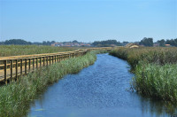 Passadiços da Barrinha de Esmoriz