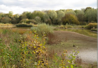 Leam Valley Local Nature Reserve