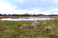 Wanlip Meadows