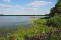 Zschornaer Teichgebiet