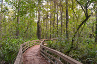 Corkscrew Swamp Sanctuary