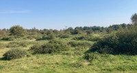Gasterse Duinen