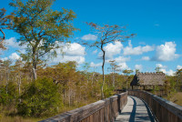 Kirby Storter Boardwalk