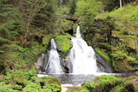 Triberger Wasserfälle