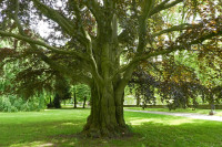 Merkelpark Esslingen