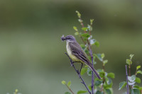 Aidejavre - Guovdegeiadnu