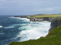 Loop Head
