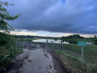 Martinsweiher Niederwalgern