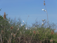 Oasi Naturalistica Valle del Brusà