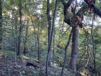 Blockhouse Point Conservation Park