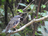 Mount Hypipamee National Park