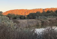 Alice Springs Sewage Ponds