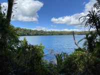 Crater Lakes National Park - Lake Eacham
