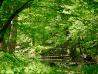 Little Bennett Regional Park