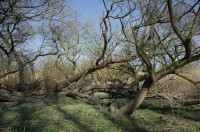 Naturschutzgebiet Heuckenlock