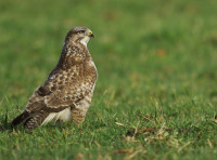 Blakehill Nature Reserve