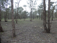 Mulligans Flat Nature Reserve