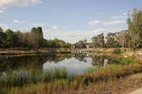 Lyneham Wetland