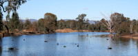 Wonga Wetlands