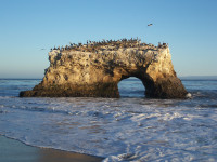Natural Bridges State Beach
