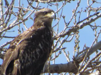 Cherry Creek State Park