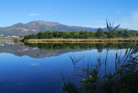 Réserve Naturelle de l'Étang de Biguglia