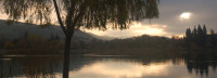 Cottonwood Lake - Hellyer County Park