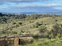 Inspiration Point - Nimitz Way Trail