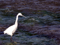 Les Berges de la Garonne à Toulouse