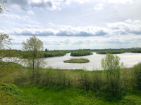 Amerongse Bovenpolder