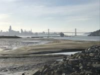 Middle Harbor Shoreline