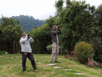 El Color de Mis Rêves