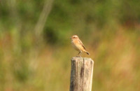 Vallei van de Zijpbeek