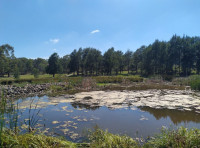 Croke Place Wetlands