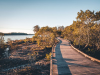 Tinchi Tamba Wetlands Reserve