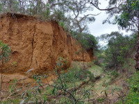 Scott Conservation Park